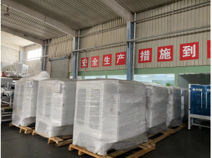 Modern Seed Processing Plant with 18 State-of-the-Art Automated Packaging Machines